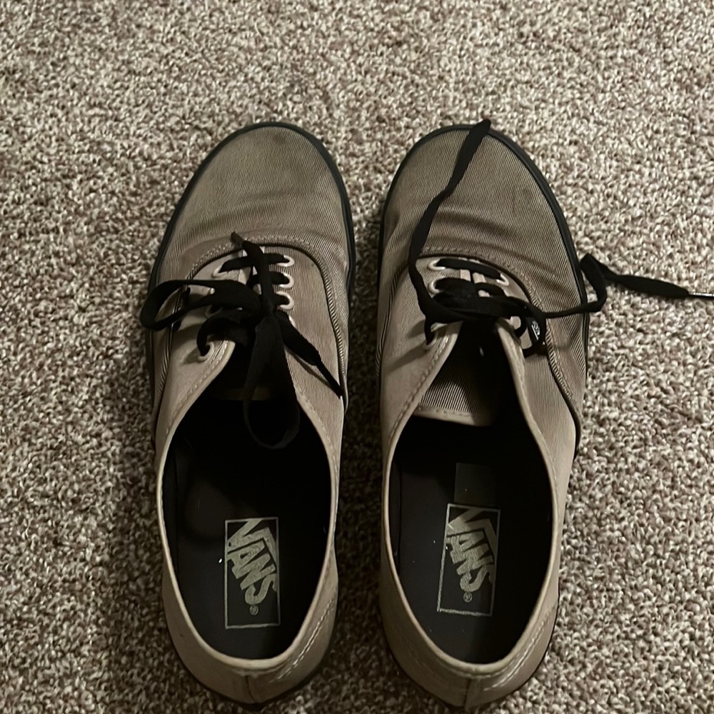 Reflective vans